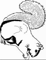 Squirrel Coloring2print sketch template