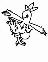 Combusken Pokemon Colorir Grovyle Tudodesenhos Thousand Noivern Frogadier sketch template