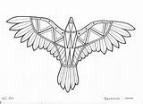 Hawk Indigenous Aboriginal Acknowledgement Country Hawthorn Reconciliation sketch template