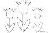 Flower Tulips Coloring Printable Template Tulip Templates Pages Flowers Colour Pattern Cliparts Spring Clip Patterns Google Clipart Stencil Library Da sketch template