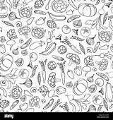 Food Background Line Doodle Vegetable Pattern Ingredient Vector Seamless Alamy sketch template