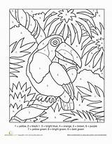 Number Color Toucan Worksheet Education sketch template