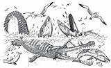 Sarcosuchus Hodarinundu Liopleurodon Prehistoria Prehistoric Cocodrilos Pisco Catalyst Appspot sketch template