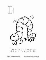 Inchworm Letter Coloring Pages Printable Worksheets Preschool Letters Activities Ii Crafts Itchy Book Alphabet Learning Sheets Phonics Worm Printables Template sketch template