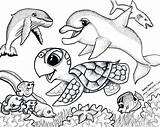 Reef Coloring Pages Getdrawings sketch template