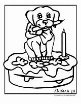 Coloring Birthday Pages Printable Cake Puppy Powered Results Popular Bing Coloringhome sketch template