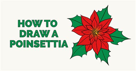 draw  poinsettia  easy drawing tutorial drawing tutorial easy easy drawings