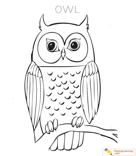 owl pages    colored coloring pages