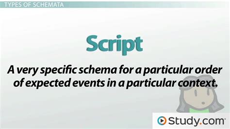 schemata definition types examples video lesson transcript studycom
