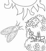 Coloring Cicada Insects Fun Other Pages sketch template