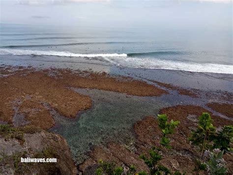 bali surf and weather report 2nd 4th october 2019