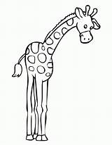 Giraffe Coloring Tall Clipart Pages Drawing Template Cartoon Cute Printable Face Head Very Panda Choose Board Easy Getdrawings Clipartmag sketch template