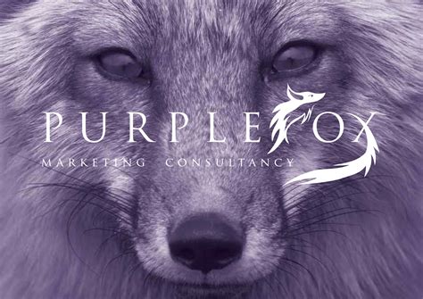 purple fox marketing jemma polland