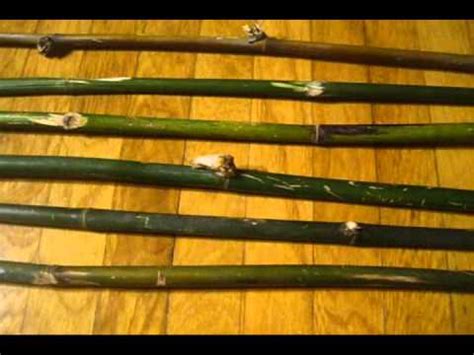 proper green bamboo bundle  cutting part  youtube