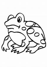 Kikker Kikkers Kleurplaten Dieren Sapo Grenouille Mewarnai Katak Kodok Animasi Sapos Frogs Frosche Frosch Bergerak Animierte Ranas Animadas Rana Kleuren sketch template