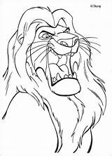 Lion Coloring Visit Coloriage Roi Pages sketch template