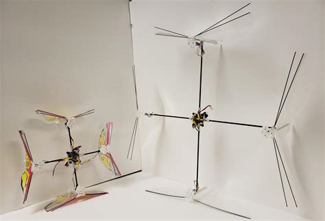 flapping wing micro air vehicle fwmav design projects