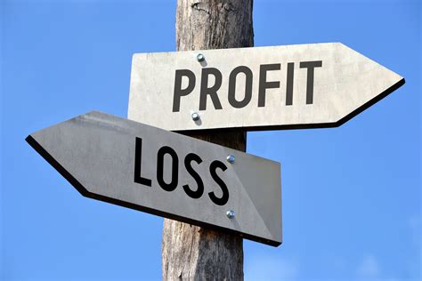 guide  understanding  profit loss statement tobin collins