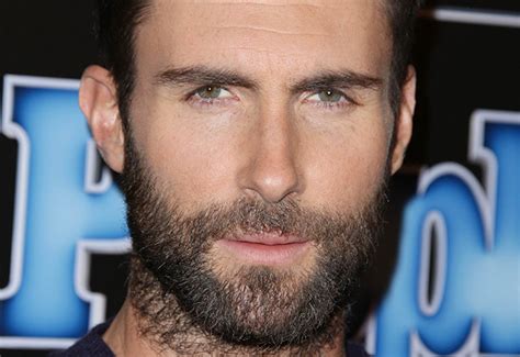 Better With A Beard From Adam Levine To Paul Rudd Who Can Wear It