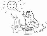 Colorat Grenouille Lake Broscuta Animaux Frosch Coloriage Toad Broscute Coloringtop Trippy Sfatulmamicilor Plansa Coloringhome Coloriages sketch template