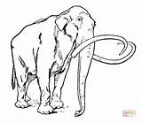 Mammoth Coloring Clipart Pages Wooly Woolly Sheet Drawings Printable Line Drawing Supercoloring Mammoths Animals Clipground Prehistoric Color 59kb 441px sketch template