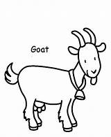 Coloring Pages Printable Animals Goat sketch template