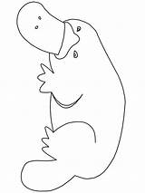 Aboriginal Platypus Wombat Coloringpagebook Worksheets Kangaroo Frogs Stencils Tegne Hvordan Sote Dyr sketch template