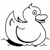 Coloring Rubber Ducky Swimming Bath Going Coloringsky sketch template