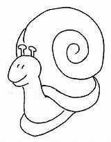 Escargot Coloriage Snail Siput Mewarna Babi Ashgive Whenever Snails Coloriages sketch template