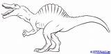 Spinosaurus Dinosaure Simple Dinosaurier Malvorlage Tyrannosaurus Langhals Ausmalbild Ausmalen Lego Pintar Bilder Dinosaurios Espinosaurio Colorier Ausdrucken Dinosaurio Spinosaur Dinossauro 1299 sketch template