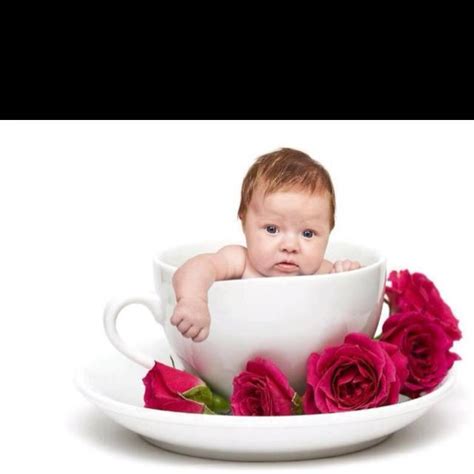 baby   cup tea cups tea cup poodle baby