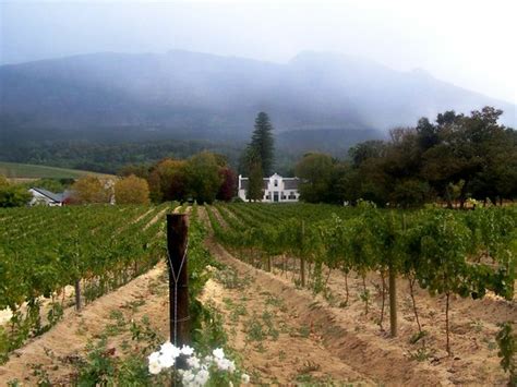 buitenverwachting constantia south africa  tripadvisor address phone number top rated