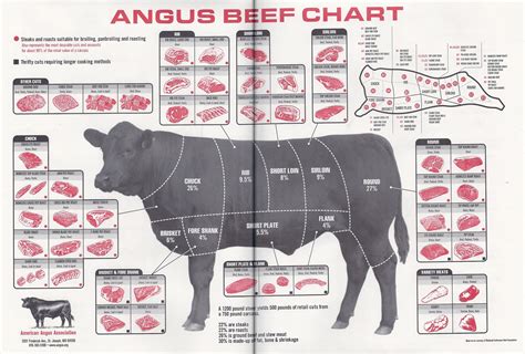 meat  cuts anatomy preparation johnny prime