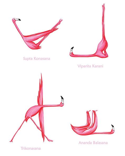 pink flamingo yoga pose poster   asanas    poster yoga