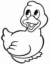 Coloring Duckling Duck Pages Getcolorings Printable Color sketch template