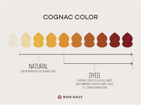 guide  finding great cognac wine folly