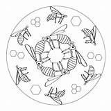 Mandala Bee Mandalas Bienen Kids Coloring Honeycomb Pages Kigaportal Cells Print Color Animal Kindergarten Bees Honeycombs sketch template