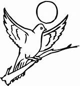 Pigeon Coloring Pages Printable Dove Kids Bestcoloringpagesforkids sketch template