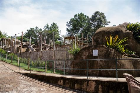 parque ecologico suspende visitas em sao carlos sao carlos em rede