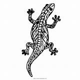 Lagartija Lizard Reptile Ausmalbild sketch template