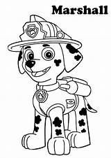 Patrol Paw Coloring Printable Pages Kids Marshall Print Color Cartoon sketch template