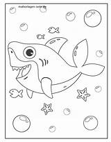Haie Hai Malvorlagen Ausmalen Wasser sketch template