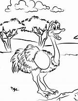 Ostrich Coloring Avestruz Struisvogel Animais Gaddynippercrayons Kleurplaten Kinderen Afdrukbare Kleurplaat sketch template