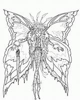 Coloring Pages Fairy Adults Fairies Hard Kids Library Clipart Detailed Print Popular sketch template
