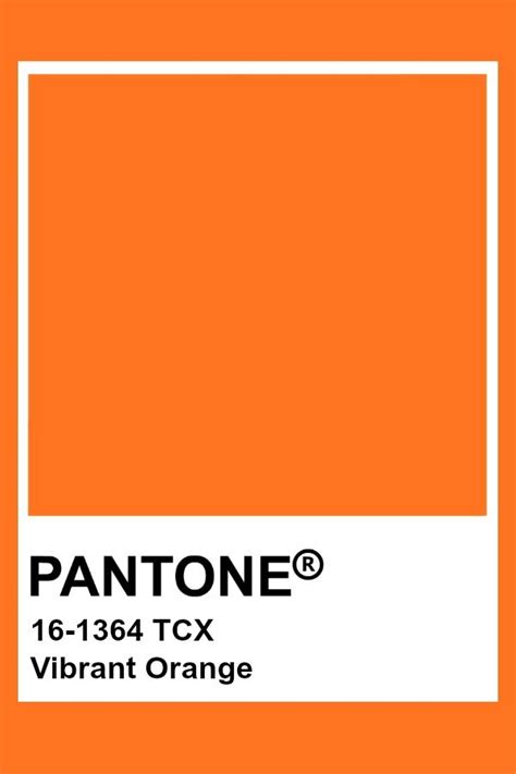 pantone vibrant orange pantone orange pantone colour palettes pantone palette