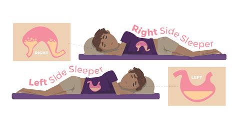 Sleep And Your Digestion Our Sleep Guide