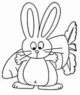 Conejo Zanahoria Conejos Estés Buscando Tal sketch template