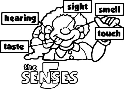 senses coloring pages preschool