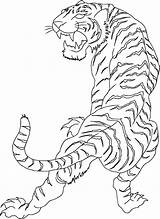 Cage Rib Anclas Gargoyle Buda Tigers Tigre Tatoo Dedos Mangas Muslos Crazydrawing Roaring Besuchen Learn Drachen sketch template