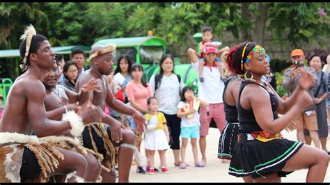 energetic traditional zulu dancing youtube